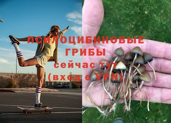 дживик Алексеевка